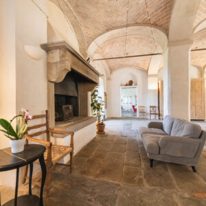 TERZO DI DANCIANO camino